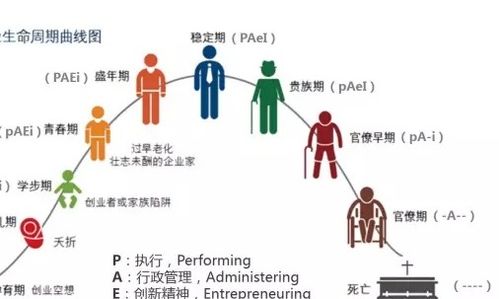 一、 理论框架与基本概念