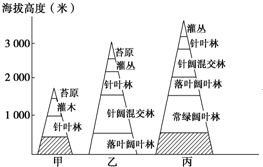 第二章：四柱嫩量强弱的决定性机制