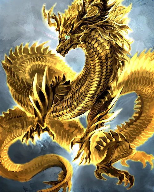 2012年属龙的人2026年学业运势如何，今年学业表现会有哪些变化？