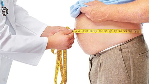 1. 内分泌系统的潜在关联性及其科学验证缺失