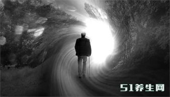 一、  童年初心的重新激活与情感投射
