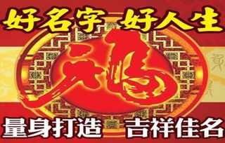 四、  “万事俱备”的多维考量与家庭生活规划