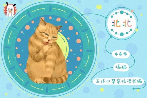 1.3 连续性音响事件