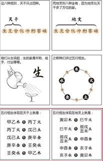 算八字流程应该先从哪一步开始？