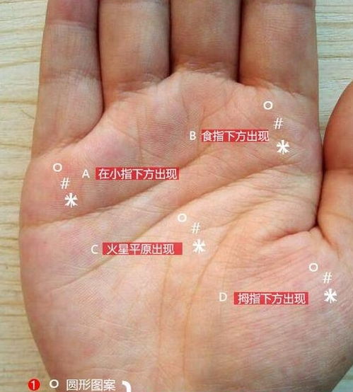 手相看手相真的有用吗？我可以给人看手相吗？