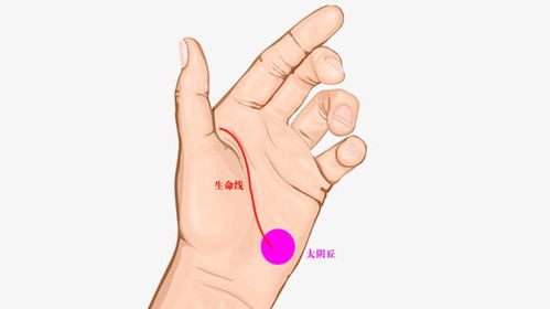 3. 水星丘与太阳丘之间的十字纹与意外之财