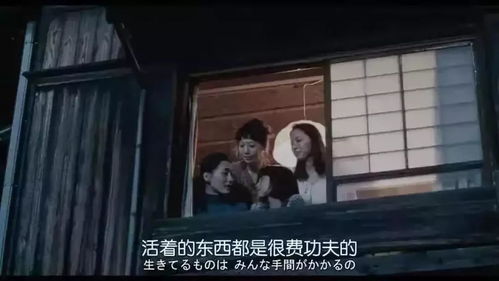 二、 生肖属性与清醒句式匹配之风水学考察