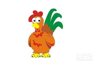 男属猴女属鸡的婚配是否合适，星巴巴有什么堪法？