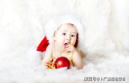 探究背景与目的