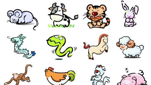 收获之年是哪个生肖？龟鹤之年代表几个生肖的含义是什么？