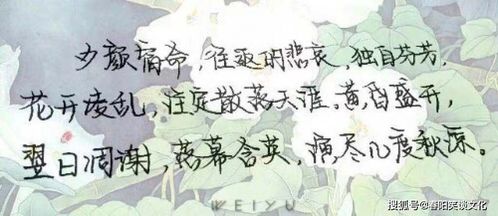 四、 历史持续发展典故及象征意义解析