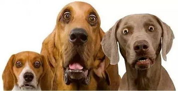 2.2 “街头潮”系列（适合活泼调皮）