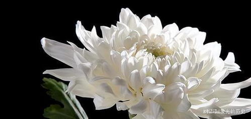 梦见以故亲人有什么特殊寓意？