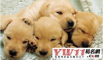 周公解梦：一个烂泥糊出来的答案