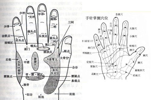 手指与命理之间究竟有什么样的密切关系呢？
