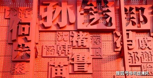 十二生肖概览及其象征意义