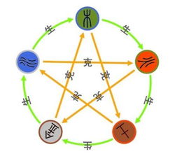 五行八卦也掺和进来