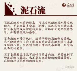 “何人”：以人为本的命理分析