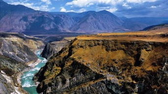 峡谷里的神秘商店