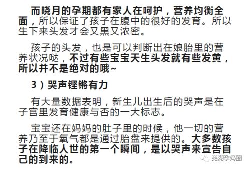 整体五行格局及其对思辨力与创生潜能的影响