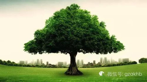 1. 门位的重新规划