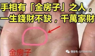 火星平原：性格沉稳与处世圆融的体现