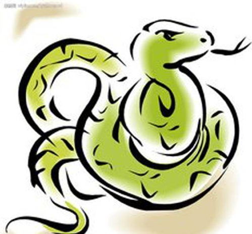 蛇——神秘阴郁暗黑系（适合文艺青年）