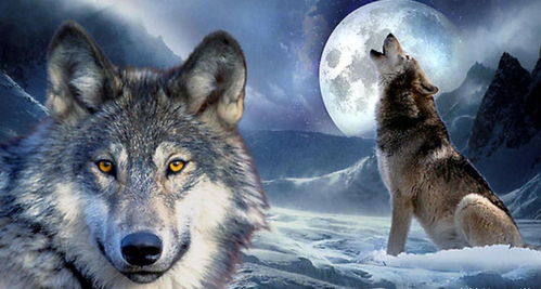 1.1 秋季狩猎之天人合一