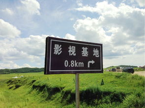 案例一：草原自拍狂魔