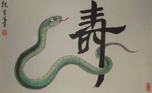 哪种蛇的命运最为悲惨，而哪一种蛇的生命力最为顽强？