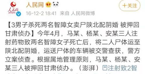 不偿后果：潜在风险及其多维影响