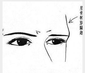 女性面相：事业运势与个人特质