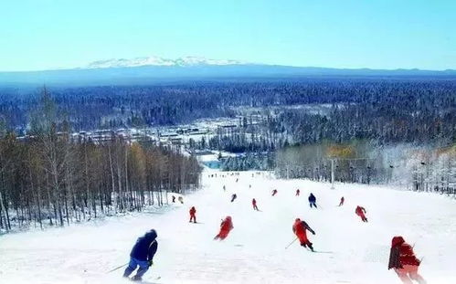 吉林滑雪场门票优惠套餐到底有哪些鬼东西？