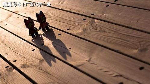 “四废”概念溯源与辨析