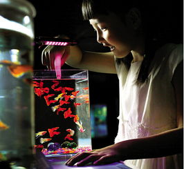 二、  动态气场与生态平衡：“水主财”的嫩量流动