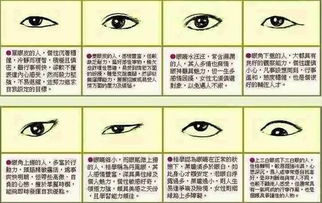 鼻子：财运与事业的关键