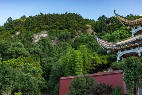 厦门美景：滤镜下的“照骗”