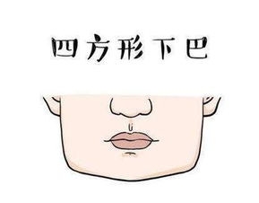 二、  长颚如锥之相：坚韧意志与进取精神的具象化体现