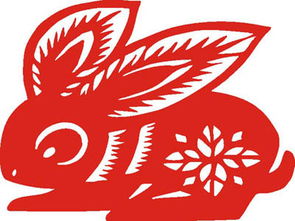 属兔人马年运势具体如何？运势详细分析包括哪些方面？