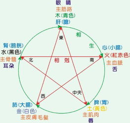 五行属性的确定：天干地支的密码