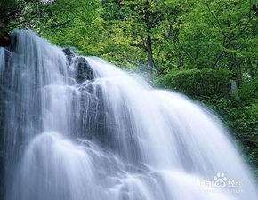 梦见带孩子和家人一起观赏瀑布，预示着什么吉凶？