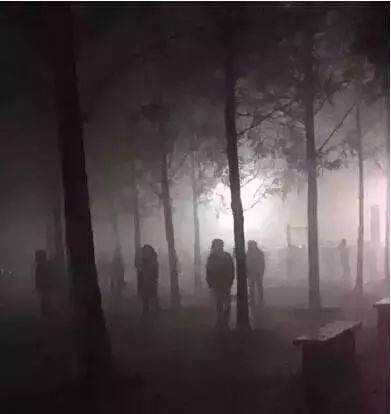 生肖星座关联：情感脆弱与逆境