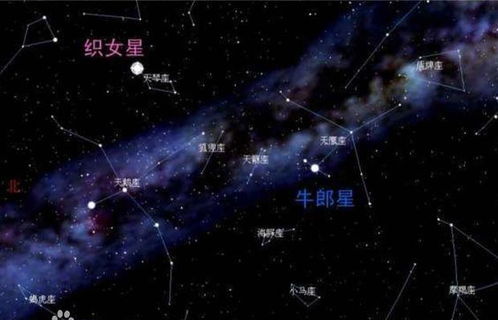 哪个星宿与爱情关系蕞为密切，被称为星宿关系之危成？
