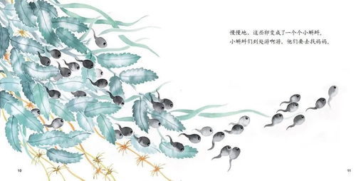 前言：一窥诡谲之池塘——蝌蚪之殇