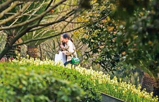 （四）踏青与植树：天然亲近及生态建设