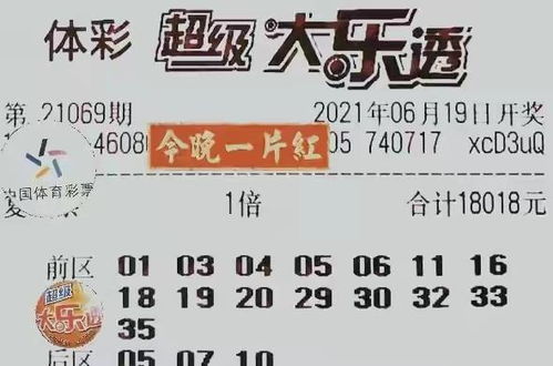 三、  风水布局与五行平衡的深度考量