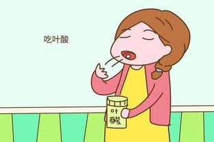 备孕期间的整体调养要点