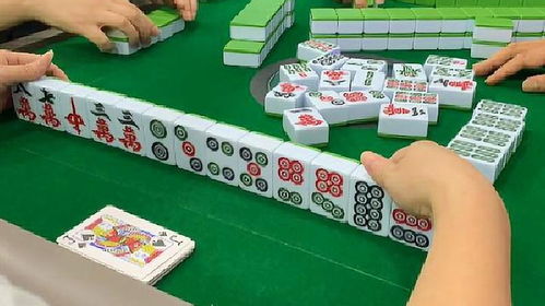 属鼠人八月七号麻将财运如何，更适合玩三人麻将还是四人麻将？