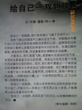 缓慢速曲目中的柔和感提升