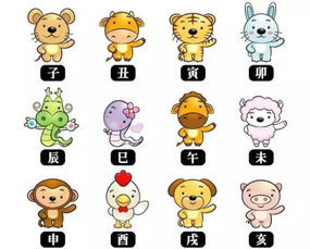 十二生肖中，哪些属相组合生宝宝蕞吉利？